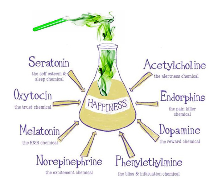 parasympathetic hormones