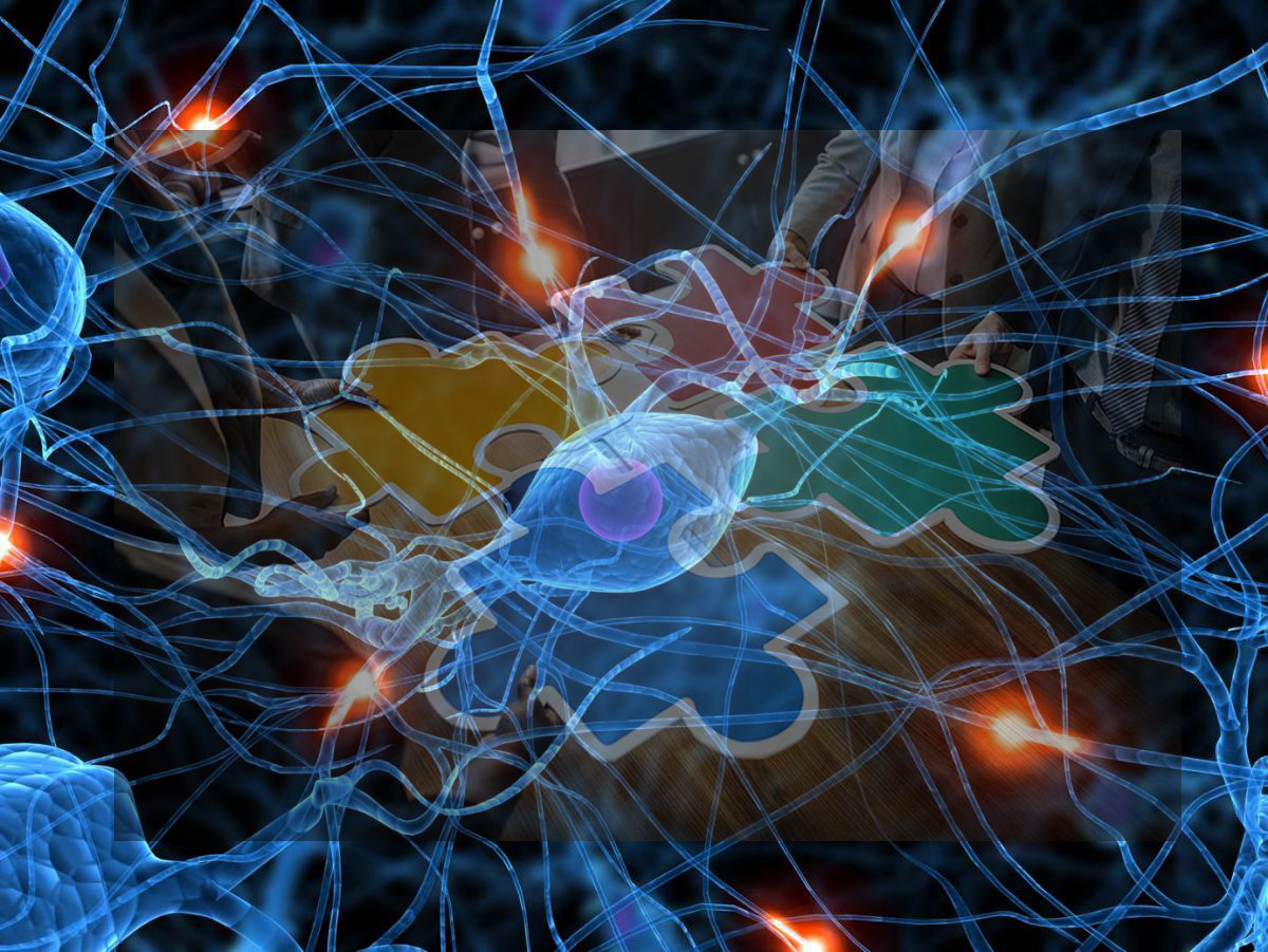 Neuron jigsaw pattern