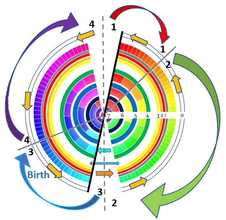 ULevels of Consciousness and the 4 phases of life