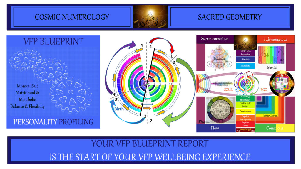 VFP Blueprint