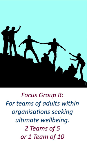 Focus-Group-B