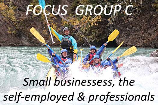 Focus Group C